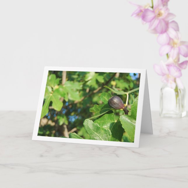 Single Fig in Tree Portrait Card (Orchid)