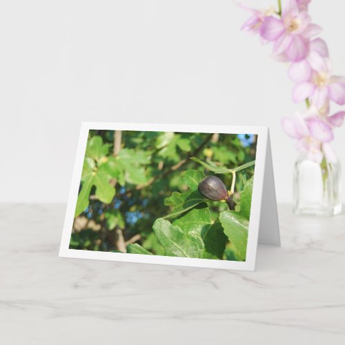 Single Fig in Tree Portrait Card