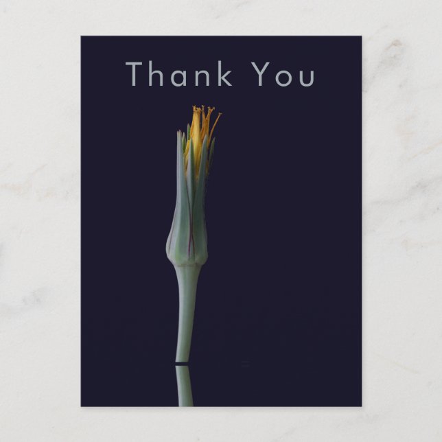 Single Flower Elegant Personalized Thank You Postcard (Front)
