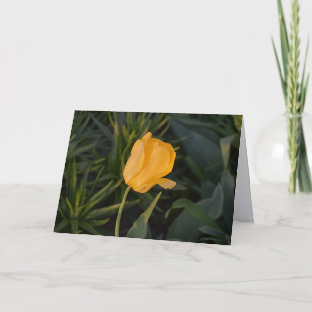Single Golden Tulip Note Card (Front)
