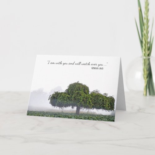 single green tree in mist sympathy card