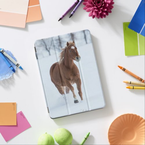 Single Horse Running in Snow iPad Air Cover