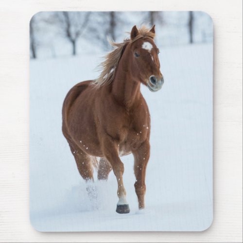 Single Horse Running in Snow Mouse Pad