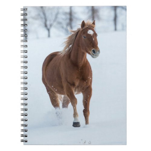 Single Horse Running in Snow Notebook
