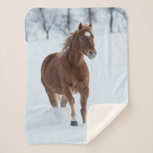 Single Horse Running in Snow Sherpa Blanket