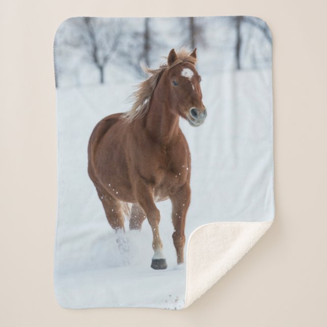Single Horse Running in Snow Sherpa Blanket (Front)