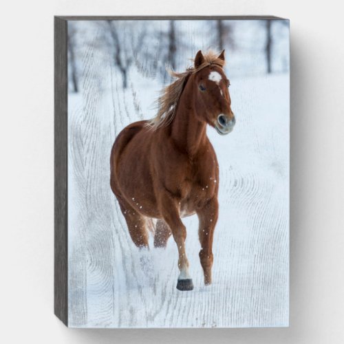 Single Horse Running in Snow Wooden Box Sign