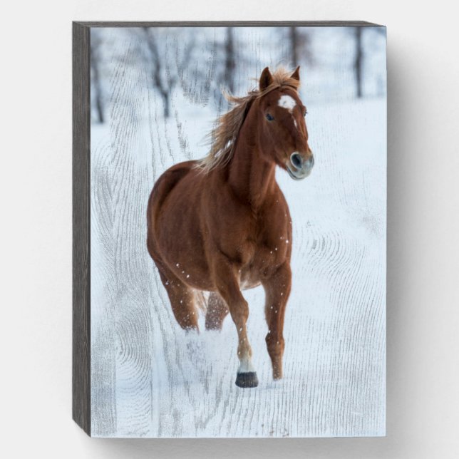Single Horse Running in Snow Wooden Box Sign (Front Vertical)