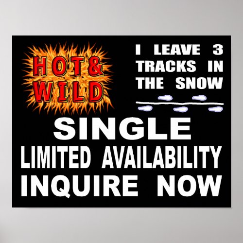 Single Hot  Wild Poster