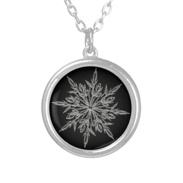Single Ice Crystal on Black Elegant Silver Plated Necklace (Front)