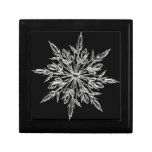 Single Ice Crystal on Black Gift Box