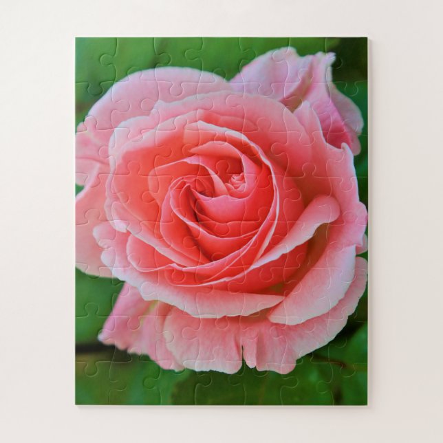 Single Large Pink Rose Up Close Jigsaw Puzzle (Vertical)