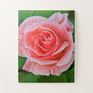 Single Large Pink Rose Up Close Jigsaw Puzzle