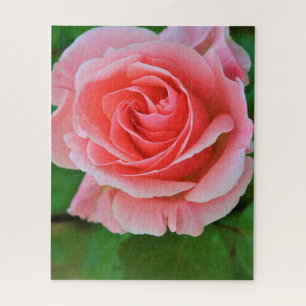 Single Large Pink Rose Up Close Jigsaw Puzzle