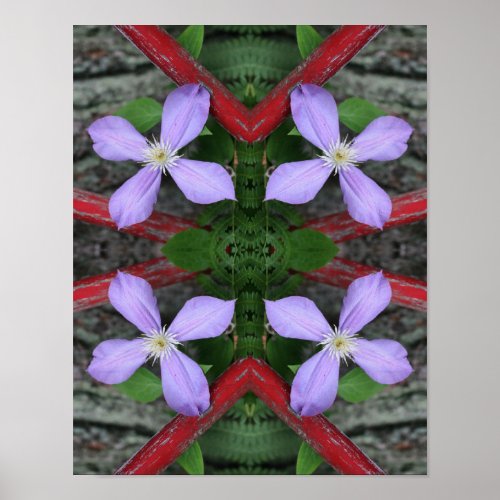 Single Lavender Clematis Flower Abstract  Poster