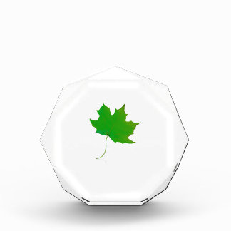 single maple green leaf plant image.png award