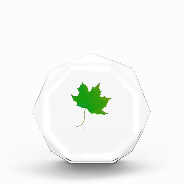 single maple green leaf plant image.png award (Front)