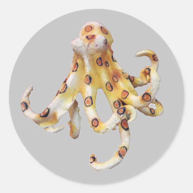 Single Octopus on Gray Background Classic Round Sticker (Front)
