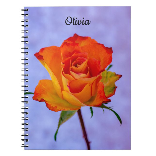 Single Orange and Yellow Rose Spiral notebook (Front)