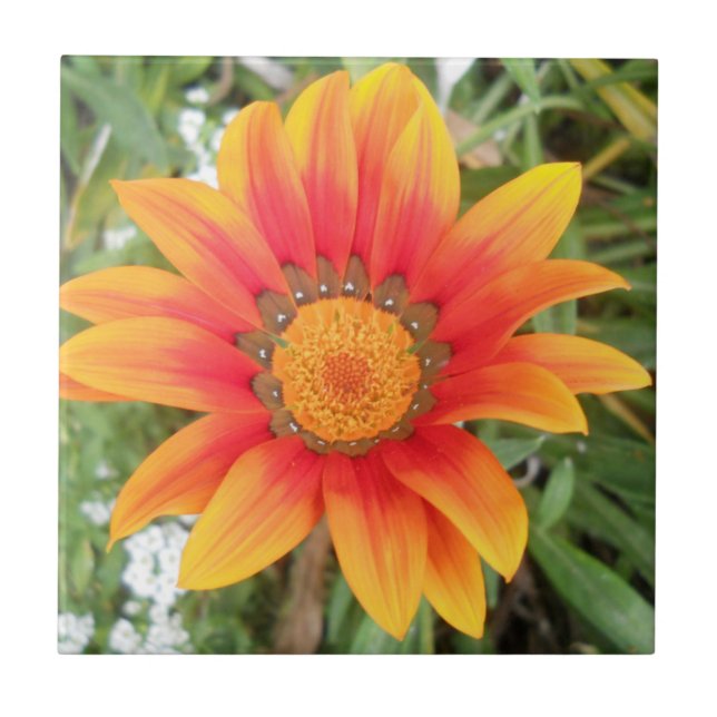 Single Orange Flower Ceramic Tile (Front)