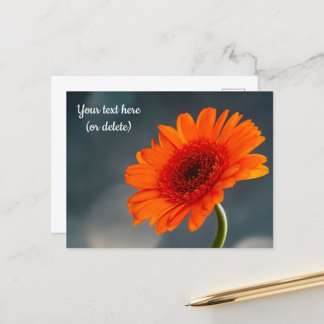 Single Orange Gerbera Postcard (Front/Back In Situ)