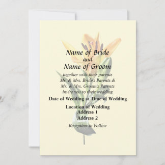 Single Orange Lily and Buds Invitation