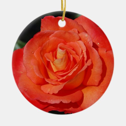 Single orange rose ceramic ornament