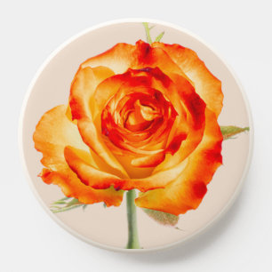 Single Orange Rose Floral Phone Grips & PopSocket