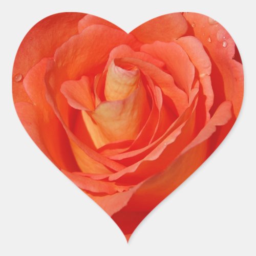 Single orange rose heart sticker