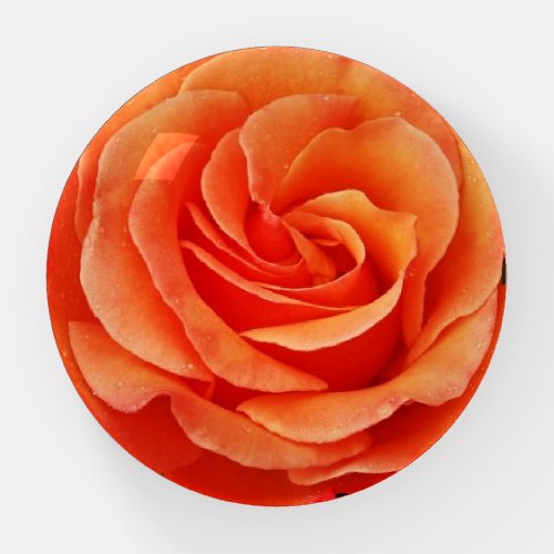 Single orange rose paperweight