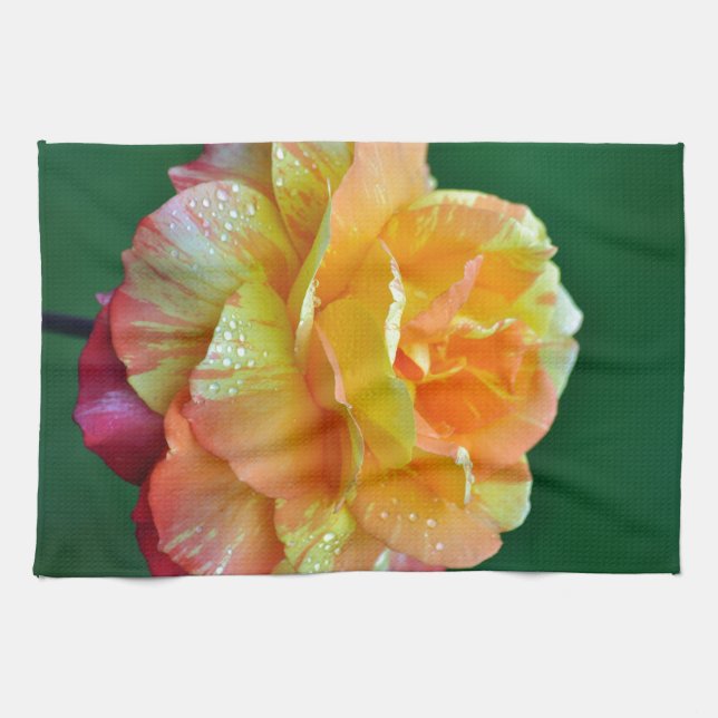 Single orange tea rose kitchen towel (Horizontal)