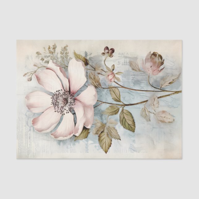 Single Pale Pink Botanical Flower Illustration Tissue Paper (Front)