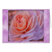 Single Peach Rose (Front Horizontal)