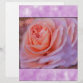 Single Peach Rose (Front/Back)