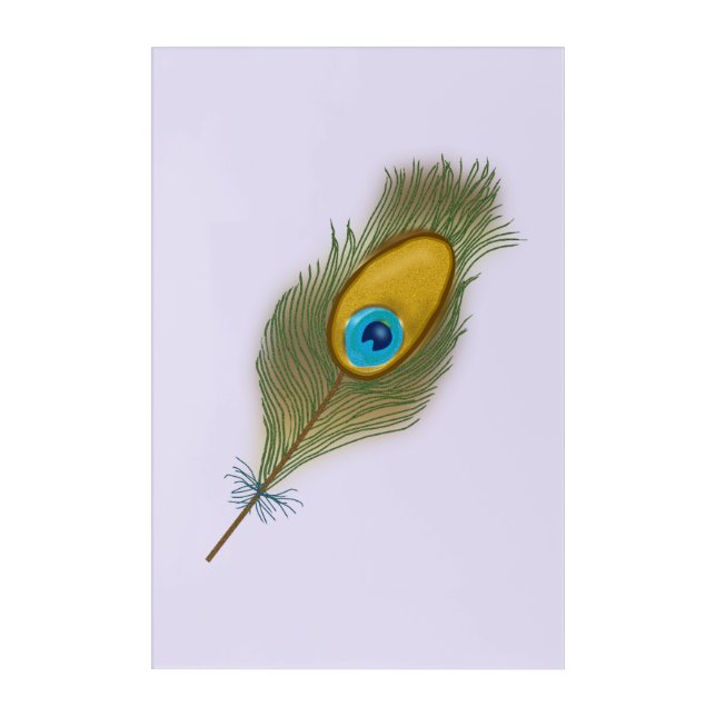 Single Peacock Feather Drawing Acrylic Print (Front)