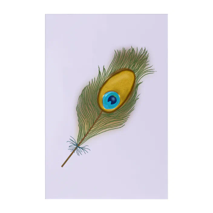Single Peacock Feather Drawing Acrylic Print Zazzle Com