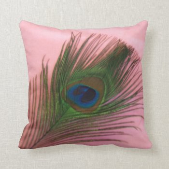 Single Peacock Feather With Pink Throw Pillow by Peacocks at Zazzle