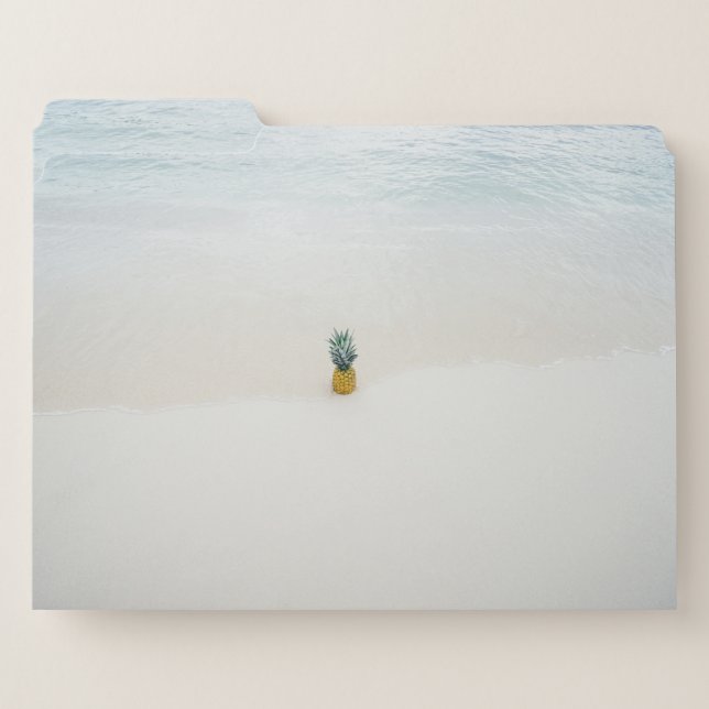 Single pineapple on the beach file folder (Front Left)