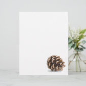 Single pinecone (Standing Front)