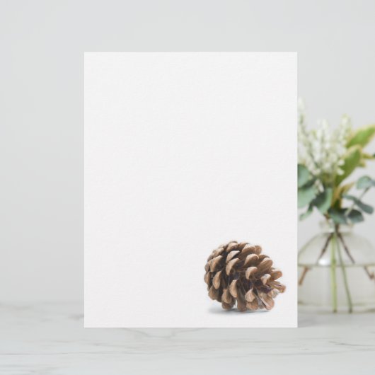 Single pinecone (Standing Front)