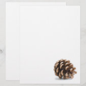 Single pinecone (Front/Back)