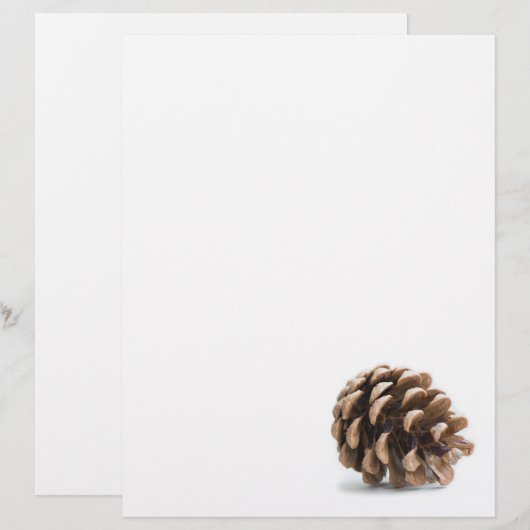 Single pinecone (Front/Back)