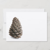 Single pinecone (Front)