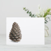 Single pinecone (Standing Front)