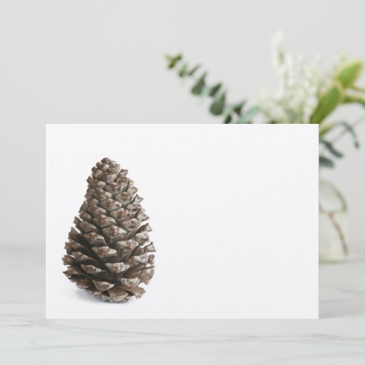 Single pinecone (Standing Front)
