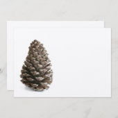 Single pinecone (Front/Back)