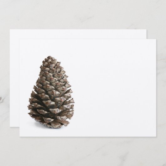 Single pinecone (Front/Back)