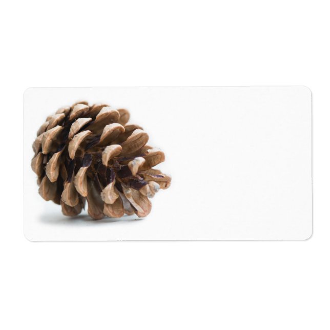 Single pinecone label (Front)