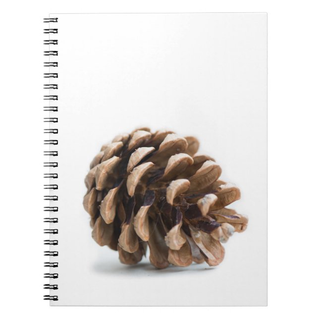 Single pinecone notebook (Front)