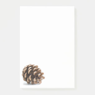 Single pinecone post-it notes